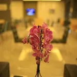 Leto Hotel